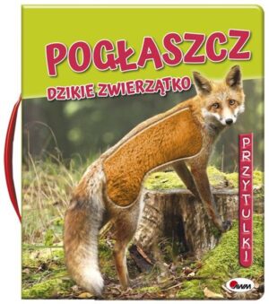POGŁASZCZ DZIKIE ZWIERZĄTKO. PRZYTULKI - USZKODZONA